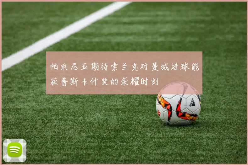 帕利尼亚期待索兰克对曼城进球能获普斯卡什奖的荣耀时刻