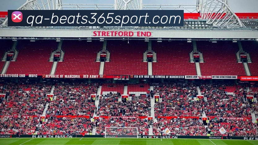 beats365体育APP 封面图